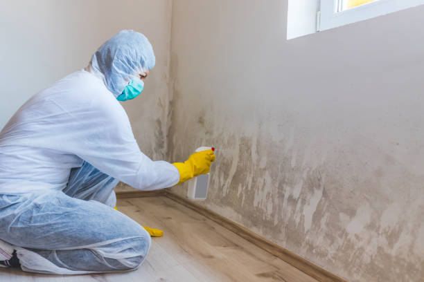 Licensed Commercial Mold Remediation service in Levittown, PA - WQB Mold Removal