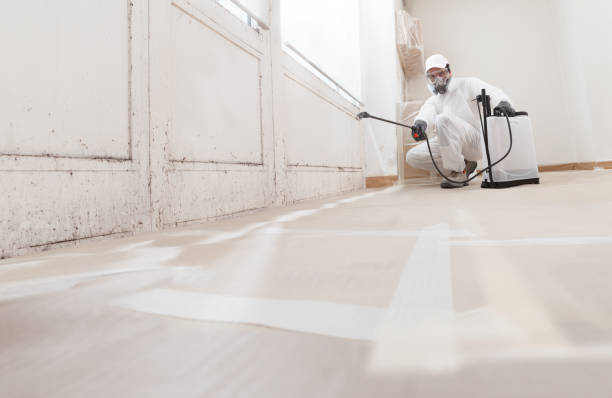 24/7 Emergency Commercial Mold Remediation experts in Levittown, PA