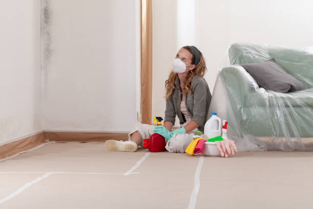 Reliable Commercial Mold Remediation contractor in Levittown, PA by WQB Mold Removal